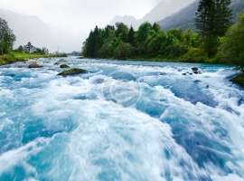 A Thirst for Power: The Water Energy Nexus